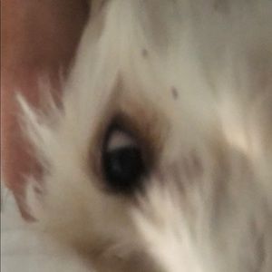 Meet your Posher, Jimmy